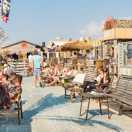 Albatros Aan Zee - Apartment Zandvoort Kültér fotó