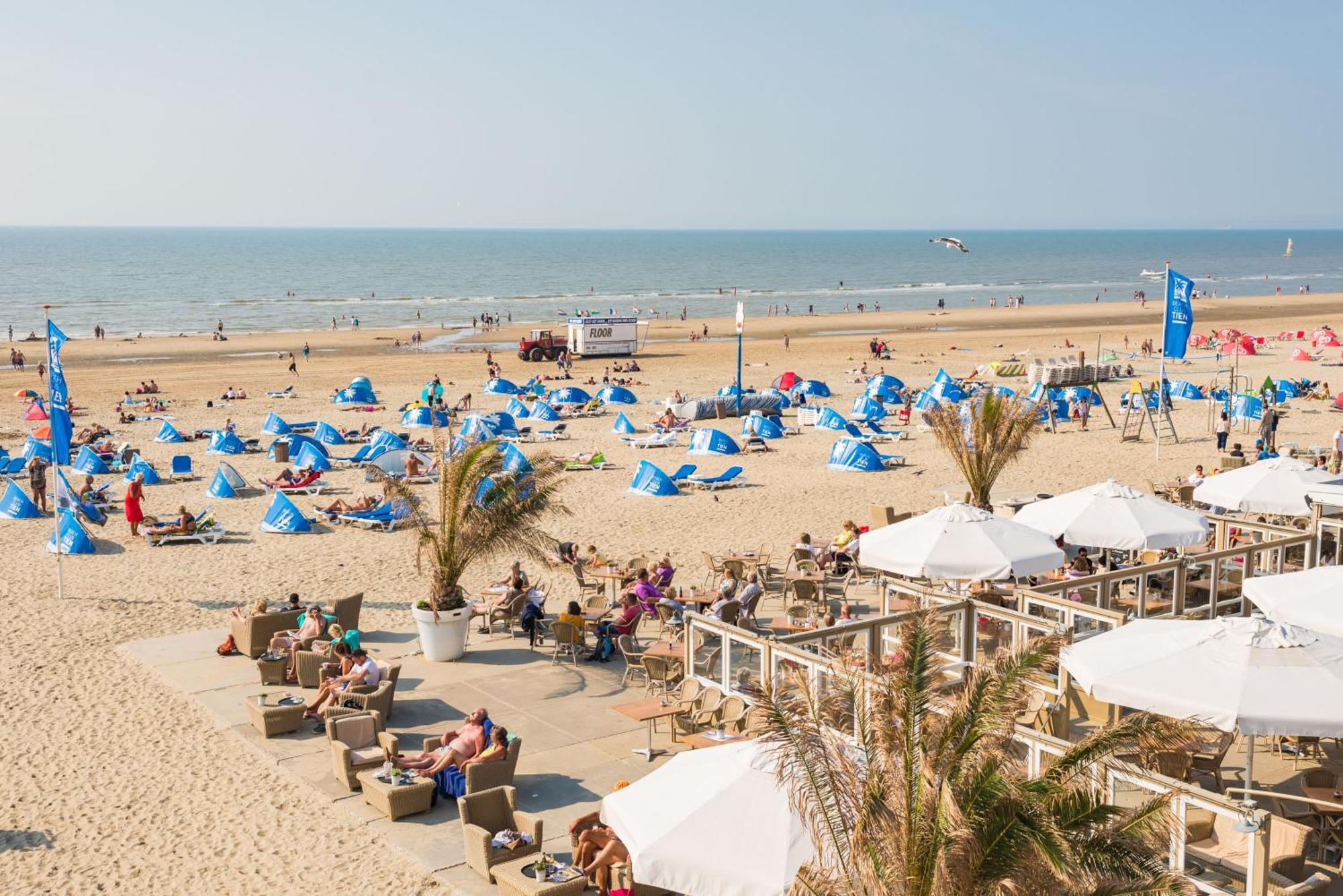 Albatros Aan Zee - Apartment Zandvoort Kültér fotó